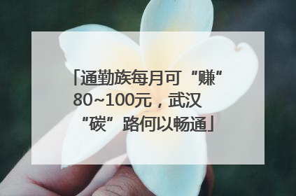 通勤族每月可“赚”80~100元，武汉“碳”路何以畅通