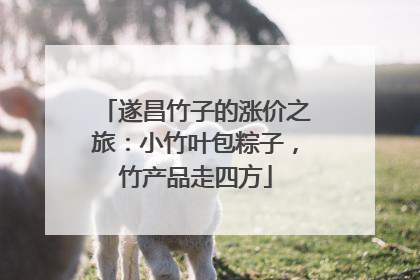 遂昌竹子的涨价之旅：小竹叶包粽子，竹产品走四方