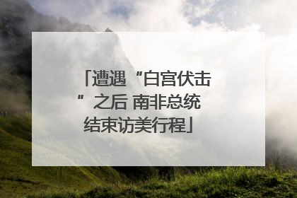遭遇“白宫伏击”之后 南非总统结束访美行程