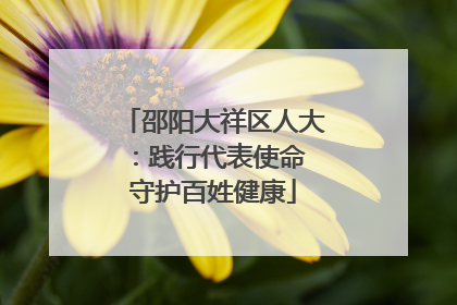邵阳大祥区人大：践行代表使命 守护百姓健康