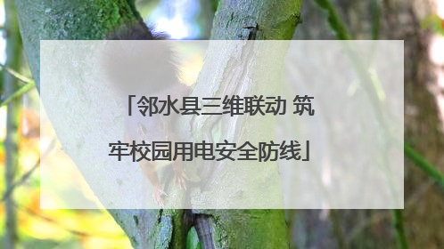 邻水县三维联动 筑牢校园用电安全防线