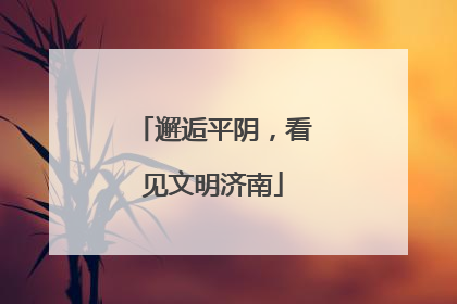 邂逅平阴，看见文明济南