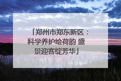 郑州市郑东新区：科学养护绘荷韵 盛景迎客绽芳华