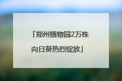 郑州植物园2万株向日葵热烈绽放