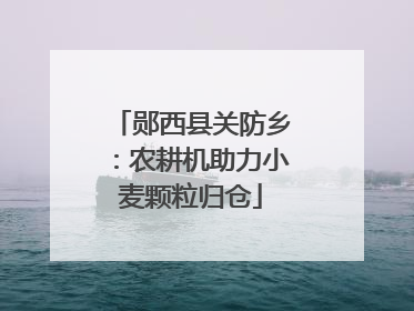 郧西县关防乡：农耕机助力小麦颗粒归仓