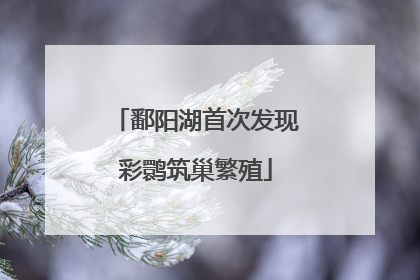 鄱阳湖首次发现彩鹮筑巢繁殖