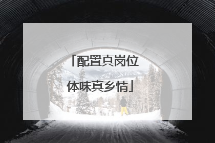 配置真岗位 体味真乡情