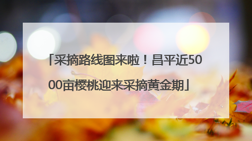 采摘路线图来啦！昌平近5000亩樱桃迎来采摘黄金期
