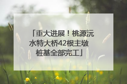 重大进展！桃源沅水特大桥42根主墩桩基全部完工