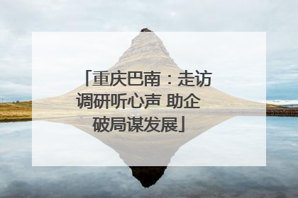 重庆巴南：走访调研听心声 助企破局谋发展