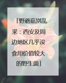 野蘑菇别乱采：西安及周边地区几乎没食用价值较大的野生菌