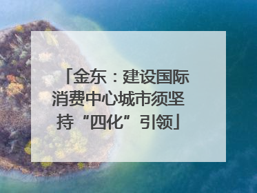 金东：建设国际消费中心城市须坚持“四化”引领