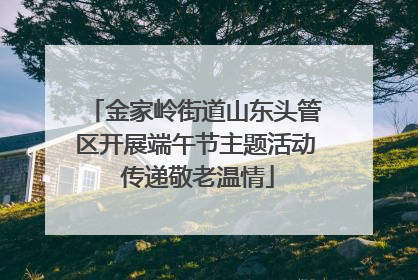 金家岭街道山东头管区开展端午节主题活动 传递敬老温情