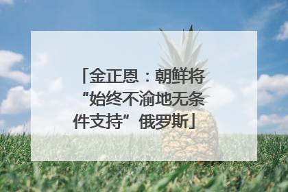 金正恩：朝鲜将“始终不渝地无条件支持”俄罗斯