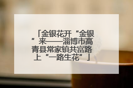 金银花开“金银”来——淄博市高青县常家镇共富路上“一路生花”