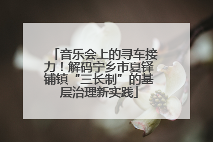 音乐会上的寻车接力！解码宁乡市夏铎铺镇“三长制”的基层治理新实践