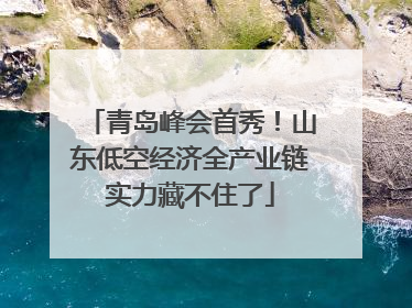 青岛峰会首秀！山东低空经济全产业链实力藏不住了
