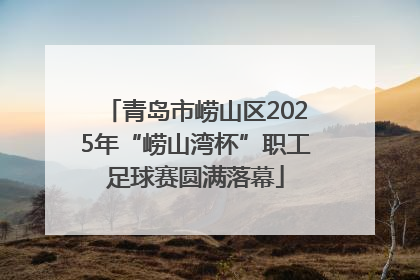 青岛市崂山区2025年“崂山湾杯”职工足球赛圆满落幕