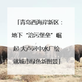 青岛西海岸新区：地下“治污堡垒”崛起 大卢河中水厂绘就城市绿色新图景