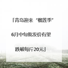 青岛迎来“榴莲季” 6月中旬批发价有望跌破每斤20元