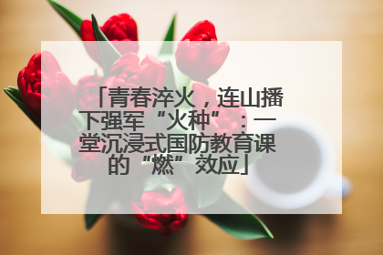 青春淬火，连山播下强军“火种”：一堂沉浸式国防教育课的“燃”效应