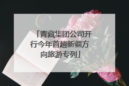 青藏集团公司开行今年首趟新疆方向旅游专列