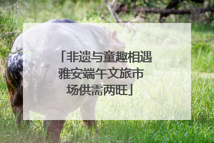 非遗与童趣相遇 雅安端午文旅市场供需两旺