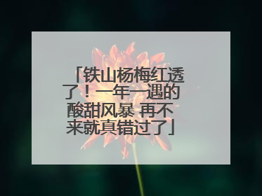 铁山杨梅红透了！一年一遇的酸甜风暴 再不来就真错过了