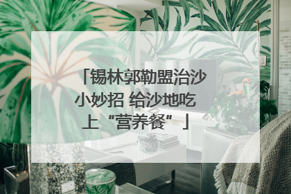 锡林郭勒盟治沙小妙招 给沙地吃上“营养餐”