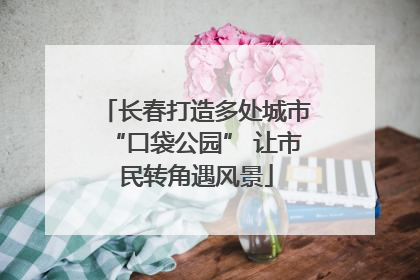 长春打造多处城市“口袋公园” 让市民转角遇风景