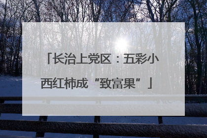 长治上党区：五彩小西红柿成“致富果”
