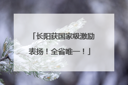长阳获国家级激励表扬！全省唯一！
