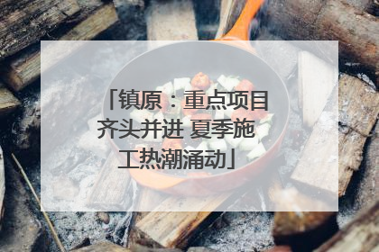 镇原：重点项目齐头并进 夏季施工热潮涌动