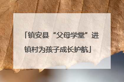 镇安县“父母学堂”进镇村为孩子成长护航
