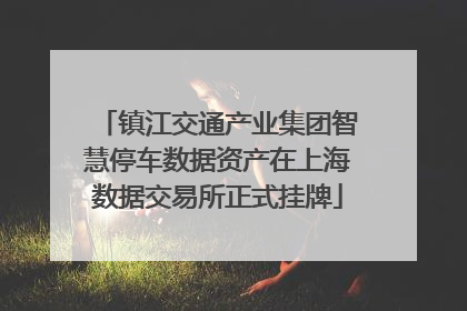 镇江交通产业集团智慧停车数据资产在上海数据交易所正式挂牌