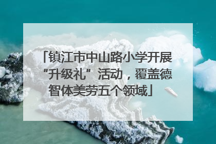 镇江市中山路小学开展“升级礼”活动，覆盖德智体美劳五个领域