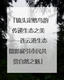 镜头定格鸟韵 传递生态之美——连云港生态摄影展引市民共赏自然之魅