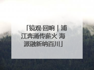镜观·回响｜浦江奔涌传薪火 海派融新纳百川