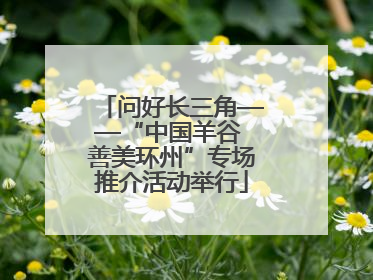 问好长三角——“中国羊谷 善美环州”专场推介活动举行