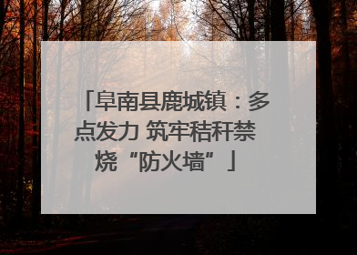 阜南县鹿城镇：多点发力 筑牢秸秆禁烧“防火墙”