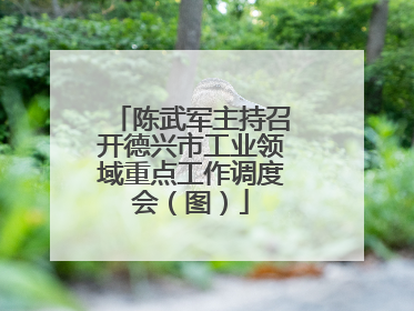 陈武军主持召开德兴市工业领域重点工作调度会（图）