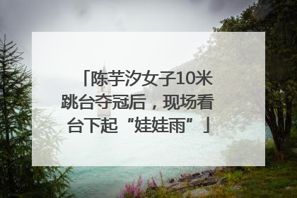 陈芋汐女子10米跳台夺冠后，现场看台下起“娃娃雨”