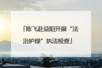陈飞赴益阳开展“法治护绿”执法检查