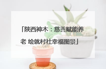陕西神木：慈善赋能养老 绘就村社幸福图景