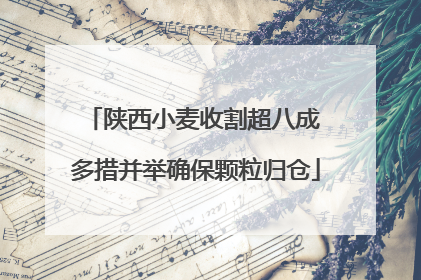 陕西小麦收割超八成 多措并举确保颗粒归仓