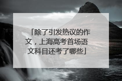 除了引发热议的作文，上海高考首场语文科目还考了哪些