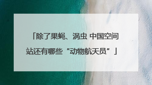 除了果蝇、涡虫 中国空间站还有哪些“动物航天员”
