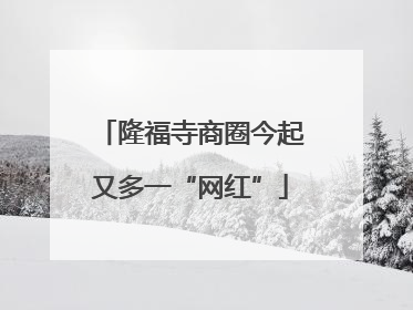 隆福寺商圈今起又多一“网红”