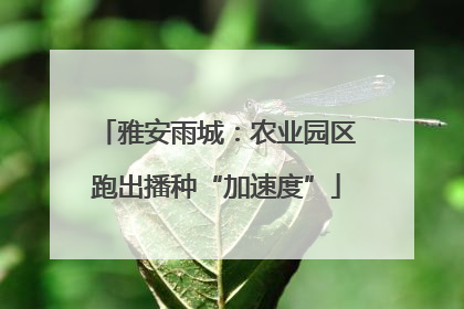 雅安雨城：农业园区跑出播种“加速度”