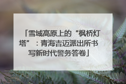 雪域高原上的“枫桥灯塔”：青海吉迈派出所书写新时代警务答卷